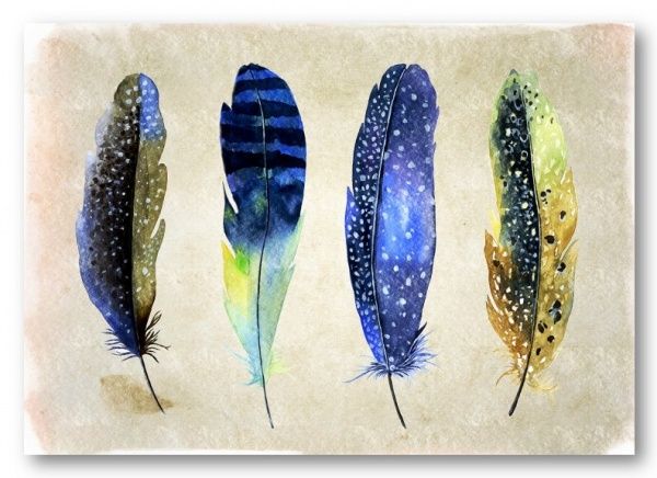 Картина Перья синее AQUA-7 50x70 см ЕО171 