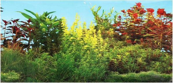 Фон TRIXIE для аквариума двухсторонний 60х30 см 8125