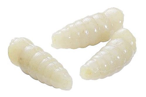 Приманка риболовна 12 шт. опариш білий ваніль