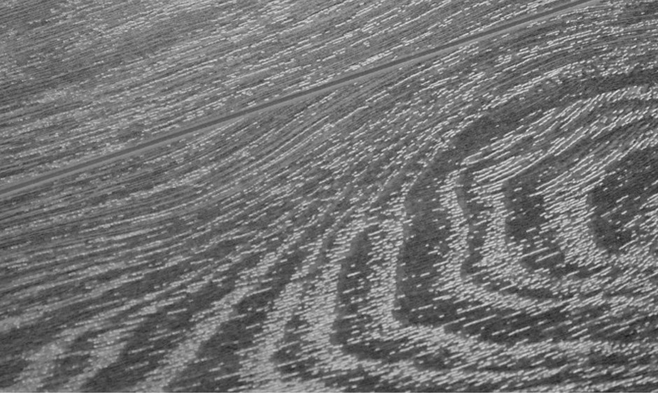 Ламинат Kronotex Exquisit V4 дуб престиж натуральный 32/АС4/8 мм