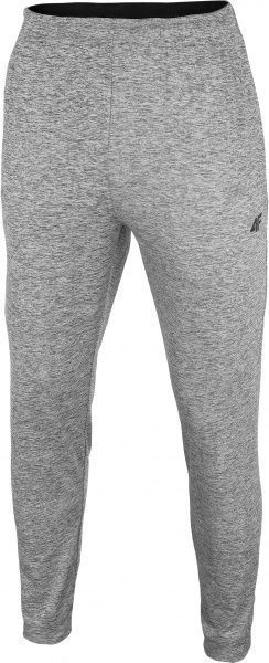 Штани 4F NOSH4-SPMTR001-24M р. 3XL сірий