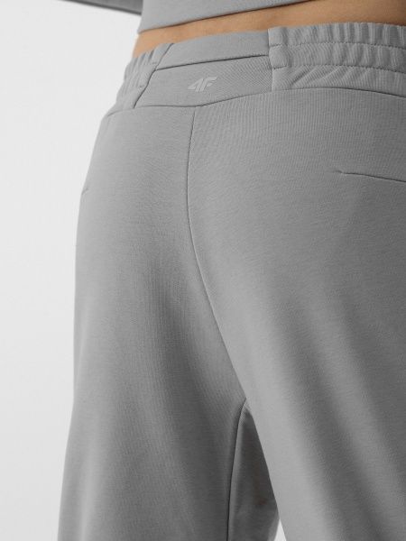 Брюки 4F R4L21-SPMD901-25S р. 2XL серый
