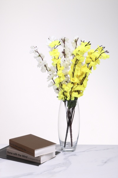 Ваза Pasabahce Ботаніка для квітів скло 26 см прозора 