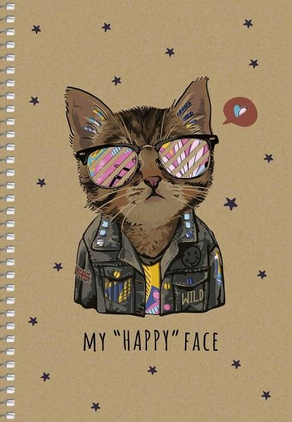 Зошит шкільний А5 96 аркушів у клітинку A5-SC-096-6078K Student Школярик