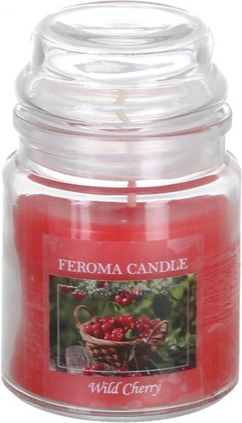 Свеча Арома Wild Cherry FJA11-CHP Feroma Candle