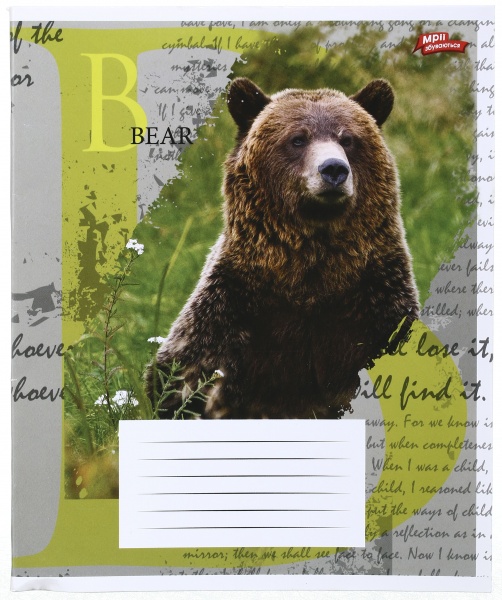 Зошит шкільний 60 аркушів у клітинку в асортименті Мрії збуваються