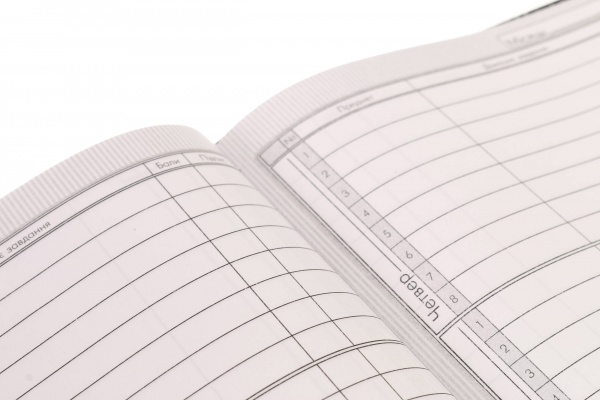 Дневник школьный Dino Nota Bene