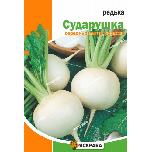 Семена Яскрава редька Сударушка (4823069928728)