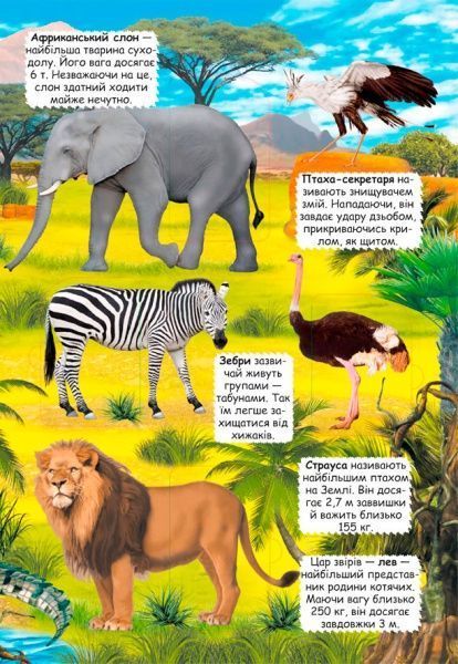 Книга «Книжка з секретними віконцями. Відкрий та дізнайся. Тварини планети Земля» 978-966-936-950-5