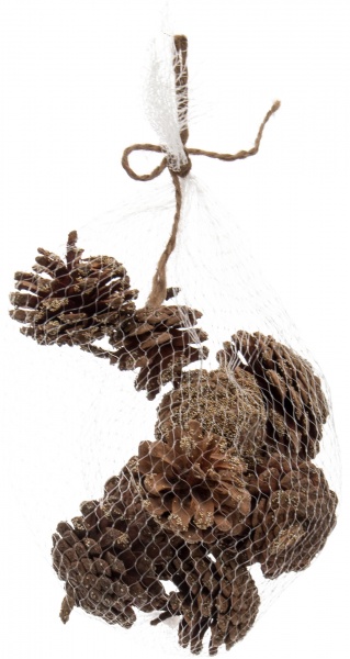 Набор для новогодней композиции Шишки 10 шт./уп. 