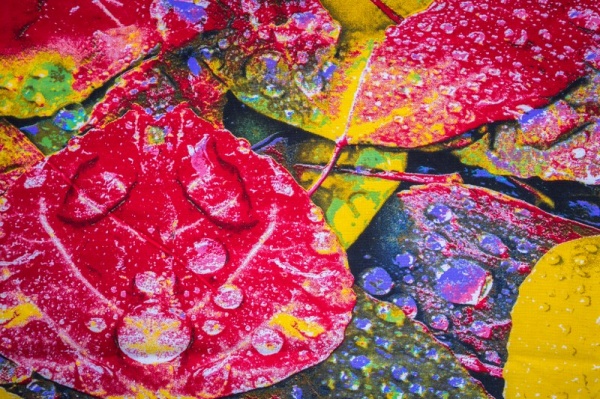 Комплект постельного белья Элегия 1,5 разноцветный Rigel 