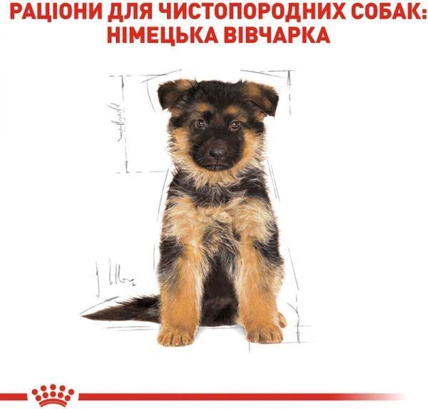 Корм Royal Canin для собак GERMAN SHEPHERD PUPPY 3 кг