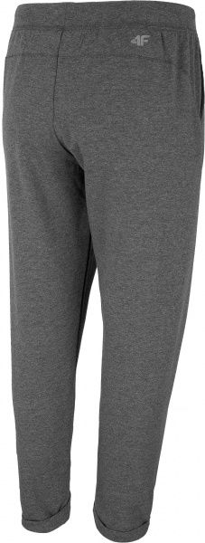 Штани 4F H4L20-SPDD012-24M р. L світло-сірий