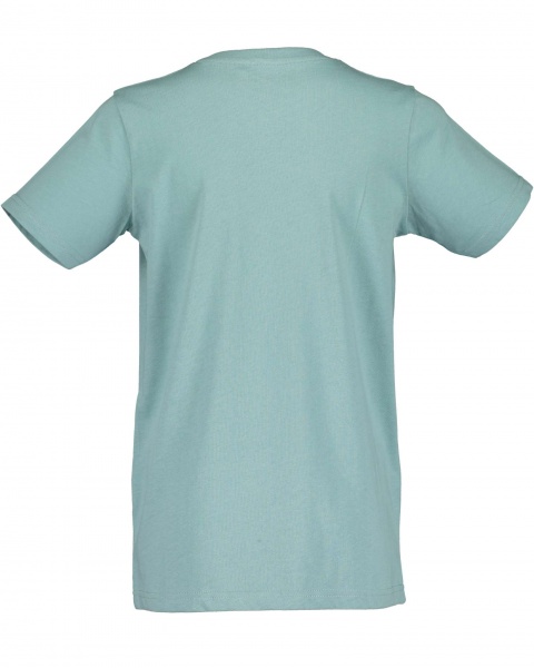 Футболка дитячі Blue Seven р.140 сірий 602770 X_631_р.140 