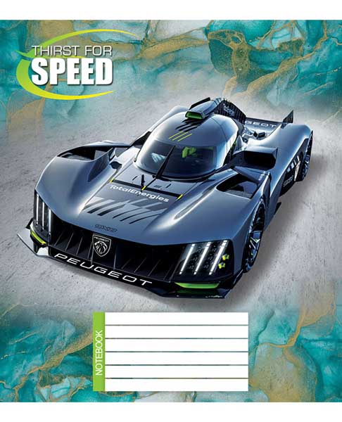 Тетрадь школьная 12 листов в клетку в ассортименте (4820036480111)