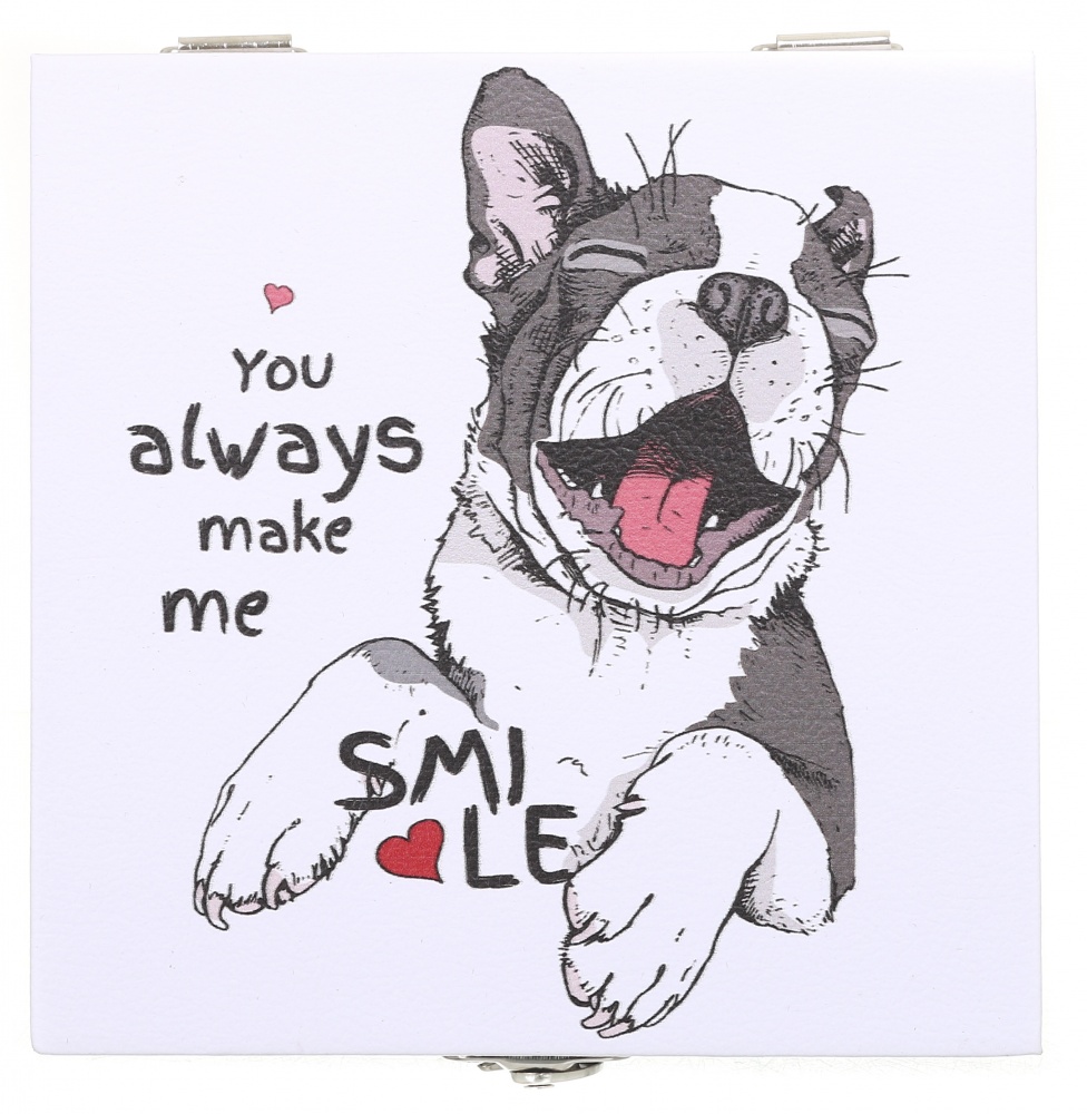 Сундучок Щенок бело-черный 14x14x8 см DECO-V