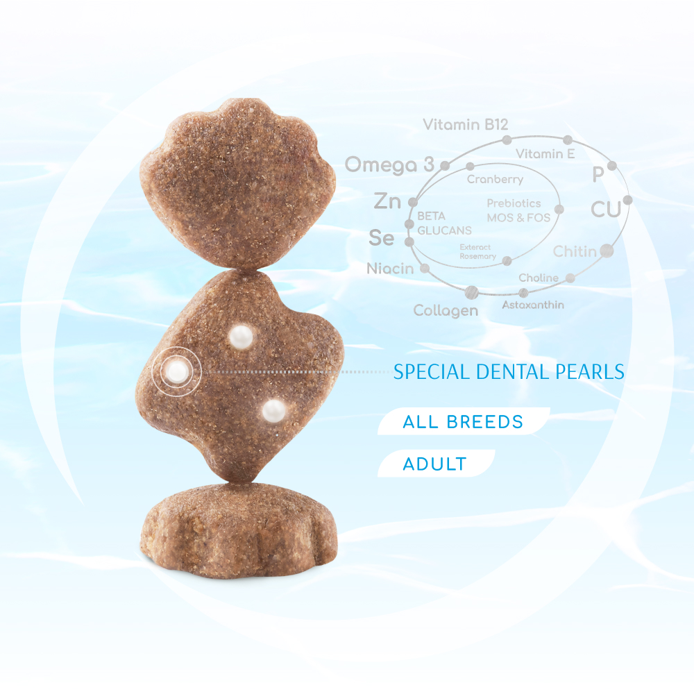 Корм сухий для дорослих котів. Optimeal Б`ЮТІ ПОДІУМ. Блискуча шерсть та догляд за зубами. 1,5 кг