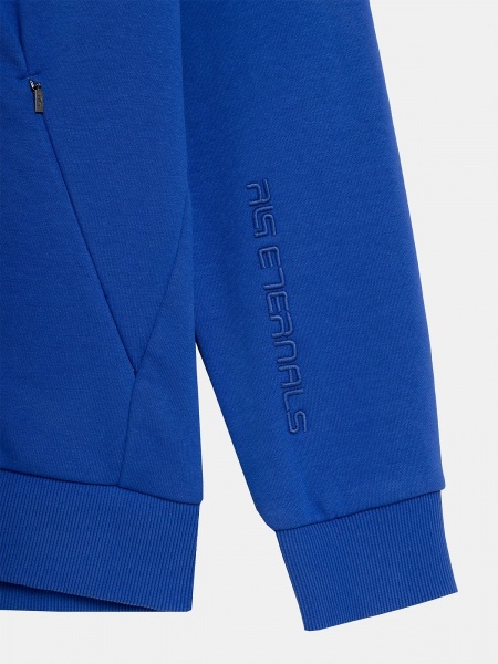 Джемпер 4F SWEATSHIRT M120 RL9SS22TSWSM120-36S р.L синій