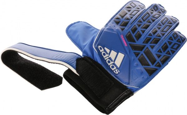 Воротарські рукавиці Adidas ACE Training р. 9 синій AZ3682