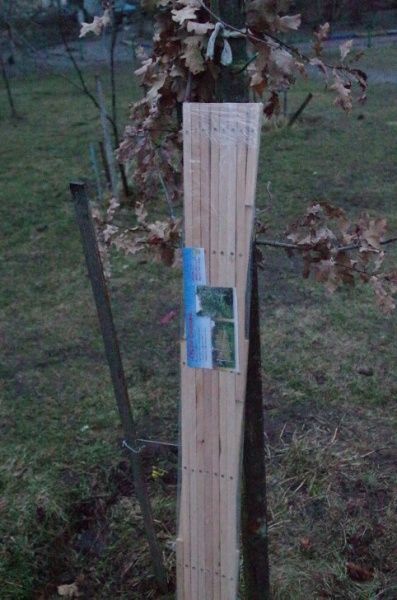 Ограждение деревянное Дуб № 90: 650х2000 мм