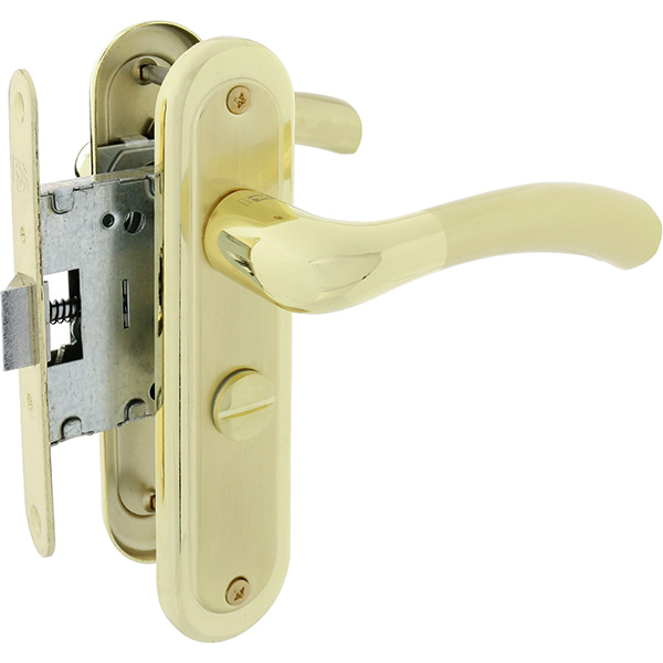 Комплект RDA Siena WC ручка на планке + механизм 258 полированная латунь/матовая латунь