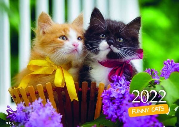 Календарь Діана Плюс Кишеньковий (32 види) 2022