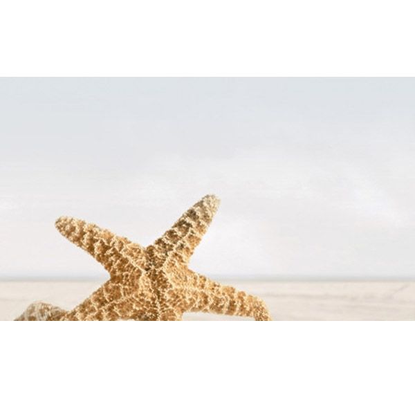 Декор Golden Tile Summer Stone Holiday №3 В41331  бежевий 250x400 мм