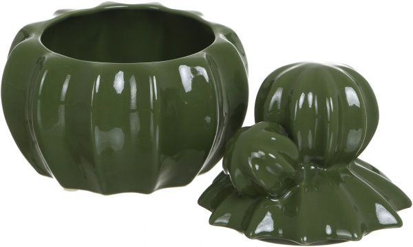 Скринька Кактус WW 2704-15 зелена Eterna