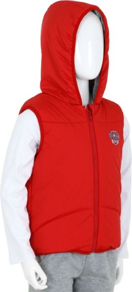 Жилет детский унисекс Соня с капюшоном р.116 красный Н0144 
