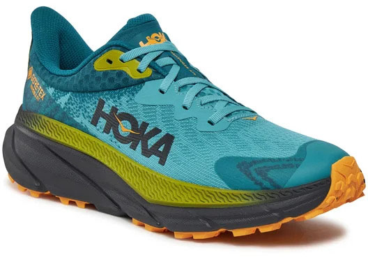 Кросівки Hoka M CHALLENGER ATR 7 GTX 1134501-OMDL р.40,5 блакитний