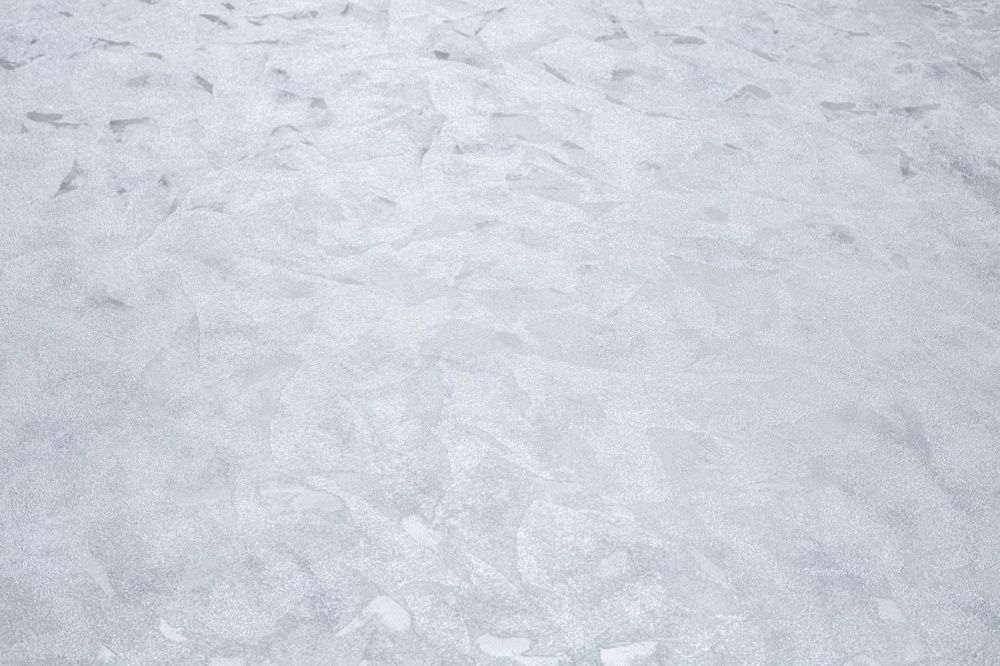 Шпалери вінілові на флізеліновій основі DINASTIA 866DN07 1,06x10,05 м