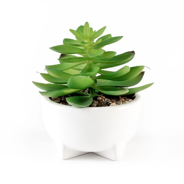 Растение декоративное DH-FLOWERS-14 M GREEN/WHITE MVM