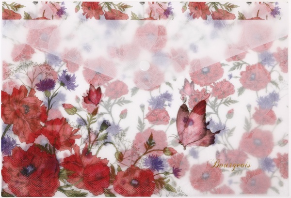 Папка-конверт на кнопке А4+ P0139 в ассортименте Bourgeois 