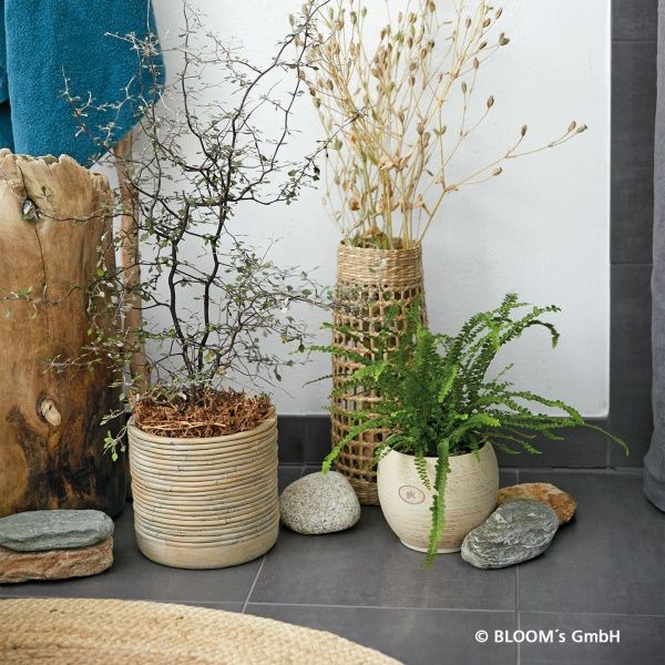 Кашпо керамическое Soendgen Myanmar круглый 10 л коричневый 