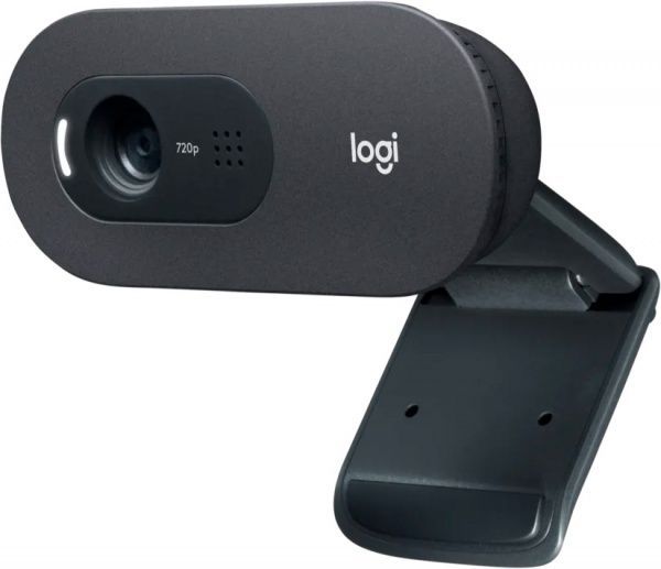 Веб-камера Logitech C505 HD (L960-001364)