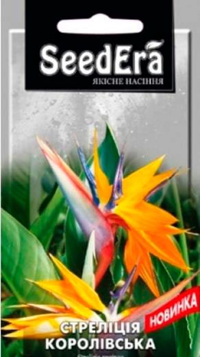 Семена Seedera стрелитция королевская комнатная 5 шт.