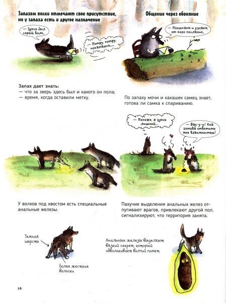 Книга «Книга. Волки. О чем говорят животные (рос.)»