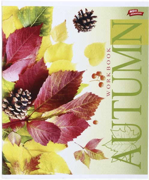 Зошит шкільний 60 аркушів у клітинку в асортименті Мрії збуваються