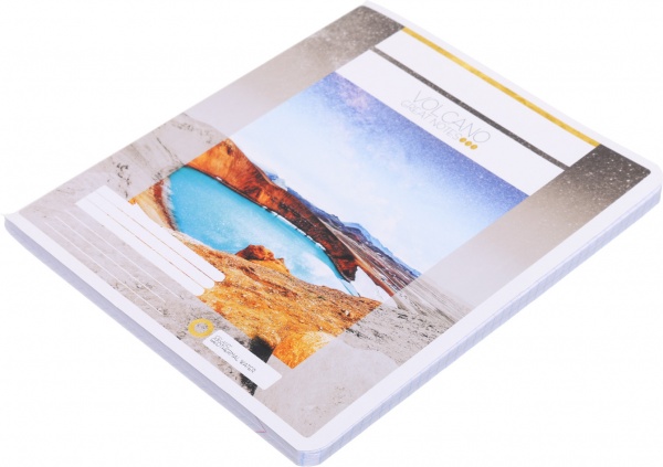 Тетрадь школьная Лайтгрин 96 листов в клеточку