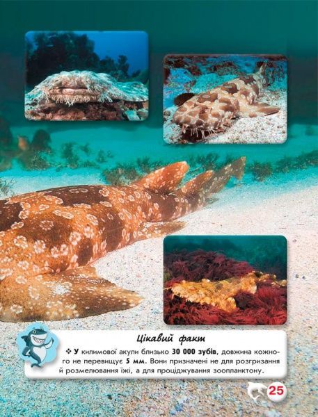 Книга Тамара Протасовицька «Світ навколо нас. Акули» 978-966-936-914-7