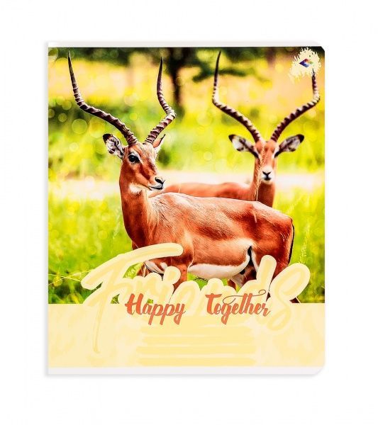 Комплект тетрадей Парочки 24 листа в клетку 20 шт. Поділля