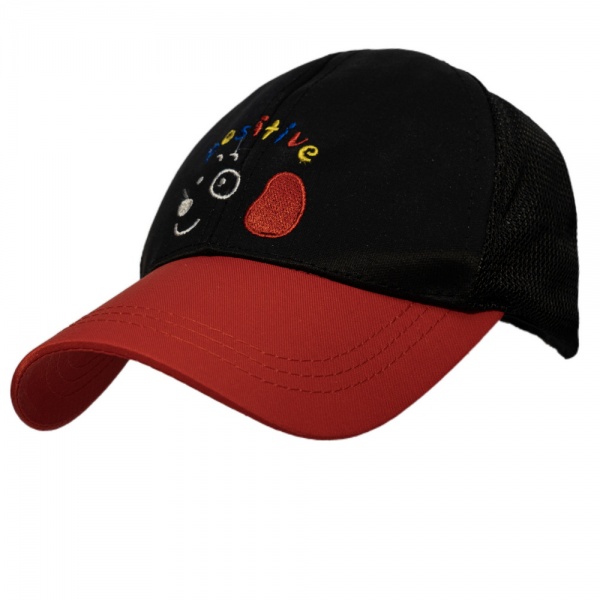 Кепка для мальчиков Девилон 3-8 лет р.48-54 черный 519018 