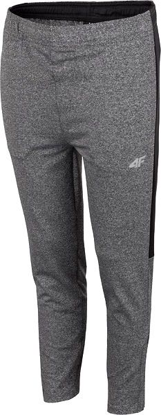 Брюки 4F HJL20-JSPMTR001-23M р. 140 темно-серый