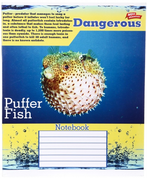 Зошит шкільний 48 аркушів у клітинку в асортименті Мрії збуваються