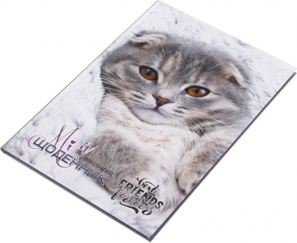 Щоденник 741 7БЦ матова ламінація 165х240 мм 40 аркушів Mandarin