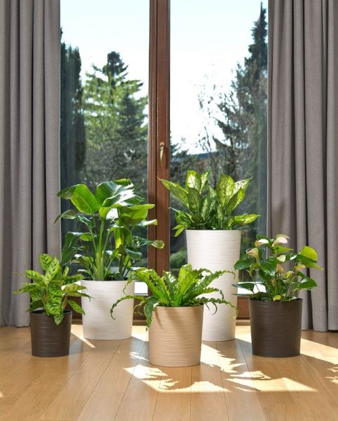 Горшок для цветов Lamela Лилия долото 300 круглый 27,6л белый 