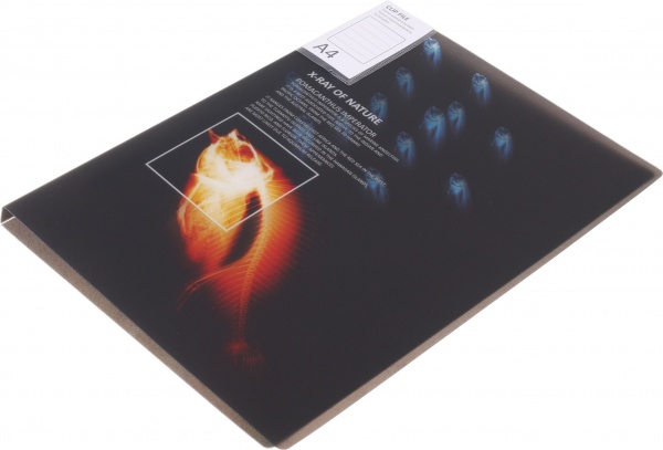 Папка Калейдоскоп А4 в ассортименте Optima