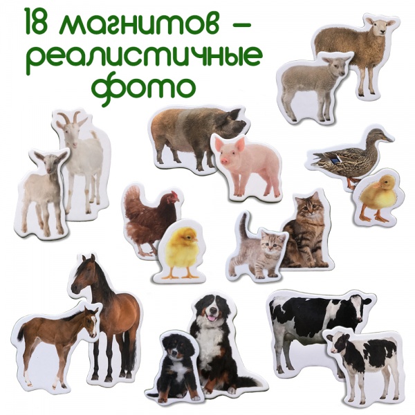 Набір магнітів Magdum Ферма Мама та малюк ML4031-08 EN
