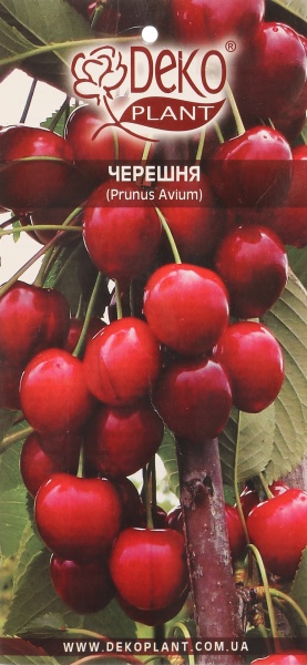 Саженец Dekoplant черешни пакет