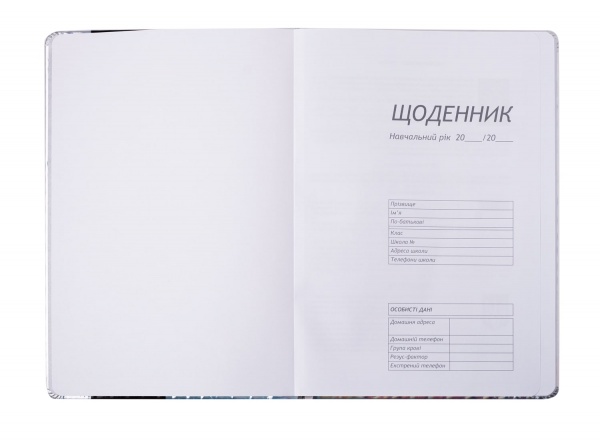 Щоденник шкільний Eyes В5 48 арк. ZB.13217-26 ZiBi